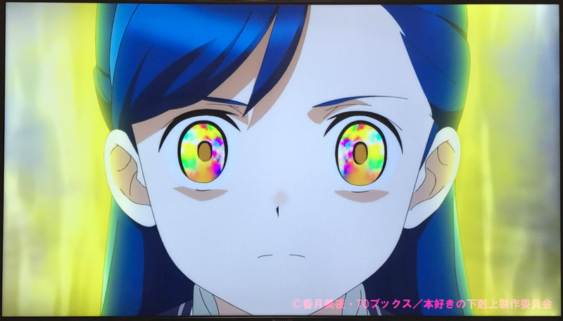 本好きの下剋上 司書になるためには手段を選んでいられません